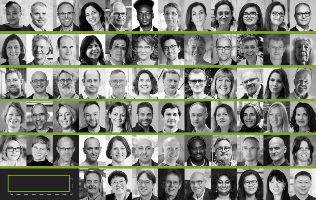 Professor Taija Mäkinen elected as an EMBO member